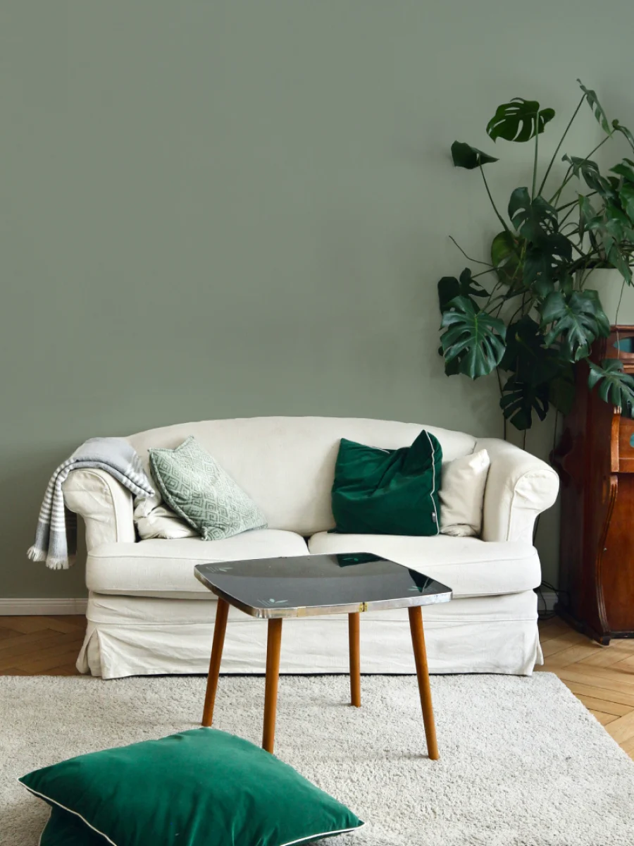 A white slipcovered sofa against a sage green wall. There are green velvet cushions and a leafy green plant around the sofa.